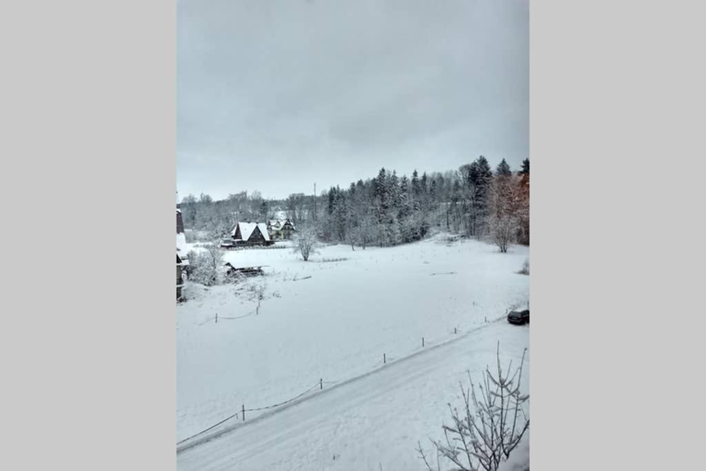 Apartament White Biały Dunajec Extérieur photo